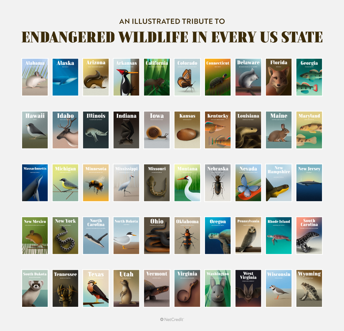 endangered wildlife USA