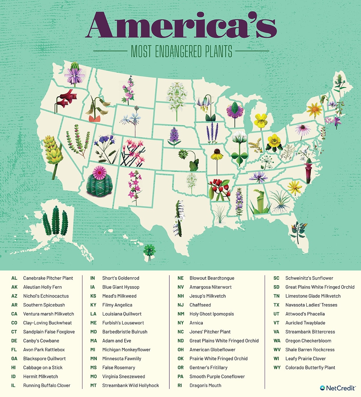 Endangered Plants In The Us